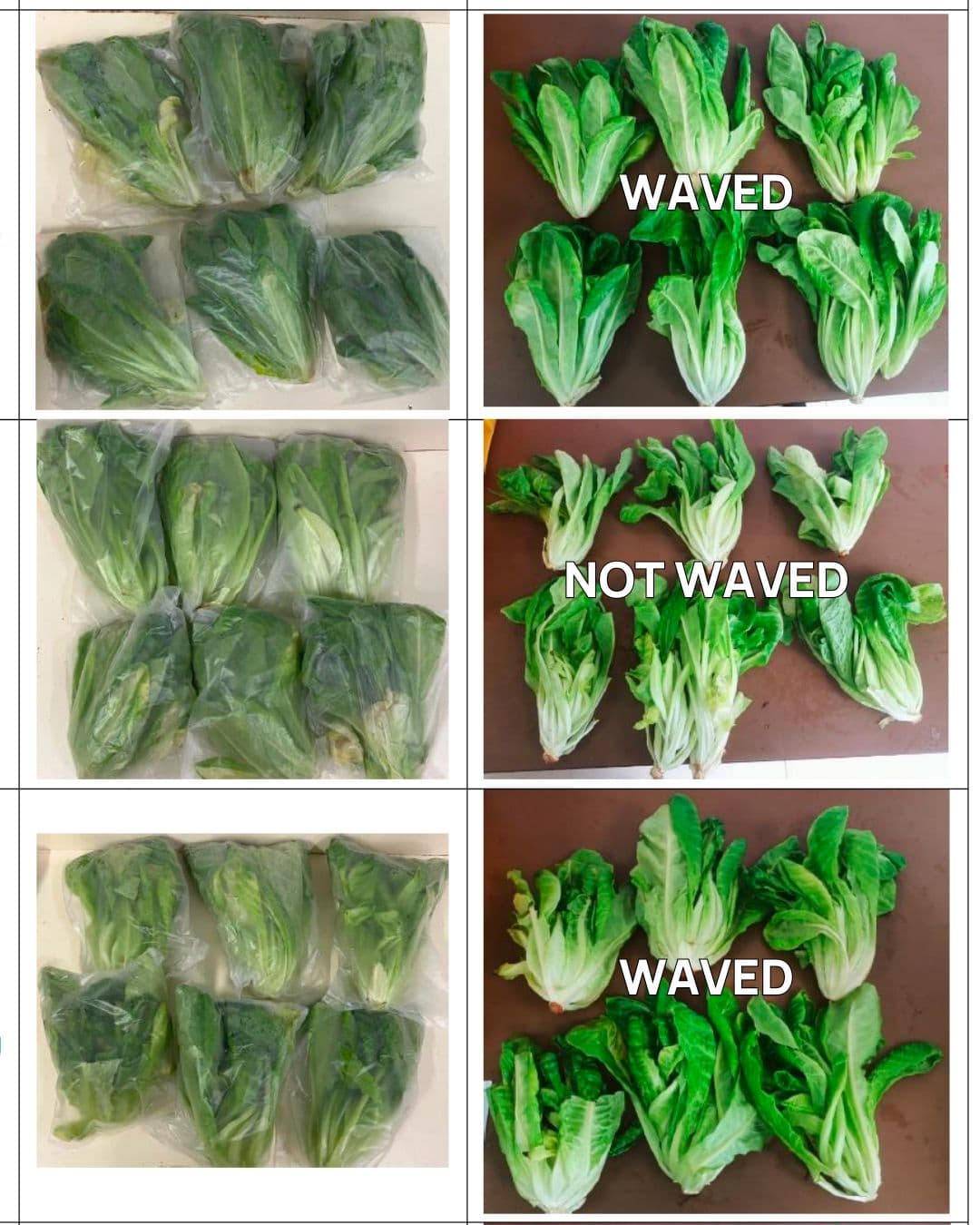 Image of Lower post-harvest crop yield loss.